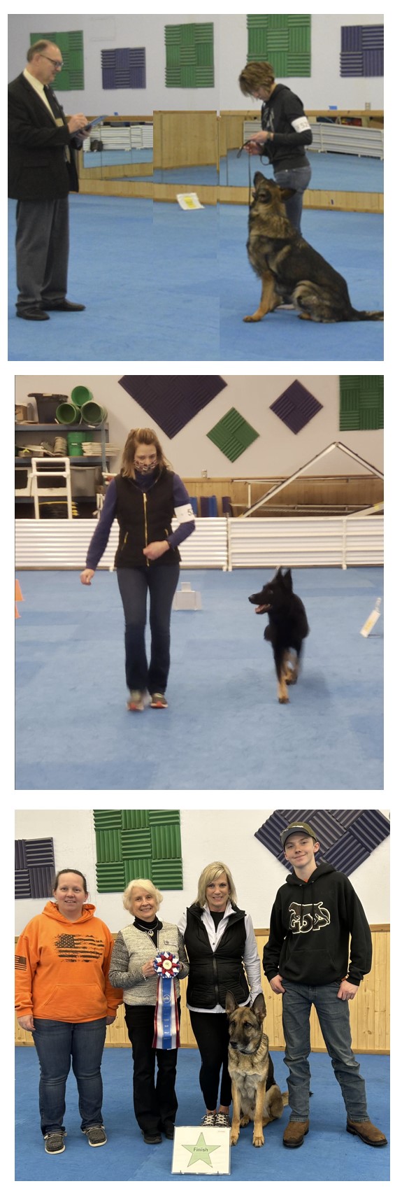 Agility and Scent Work Photos.